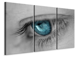 3-piece-canvas-print-music-in-her-eyes