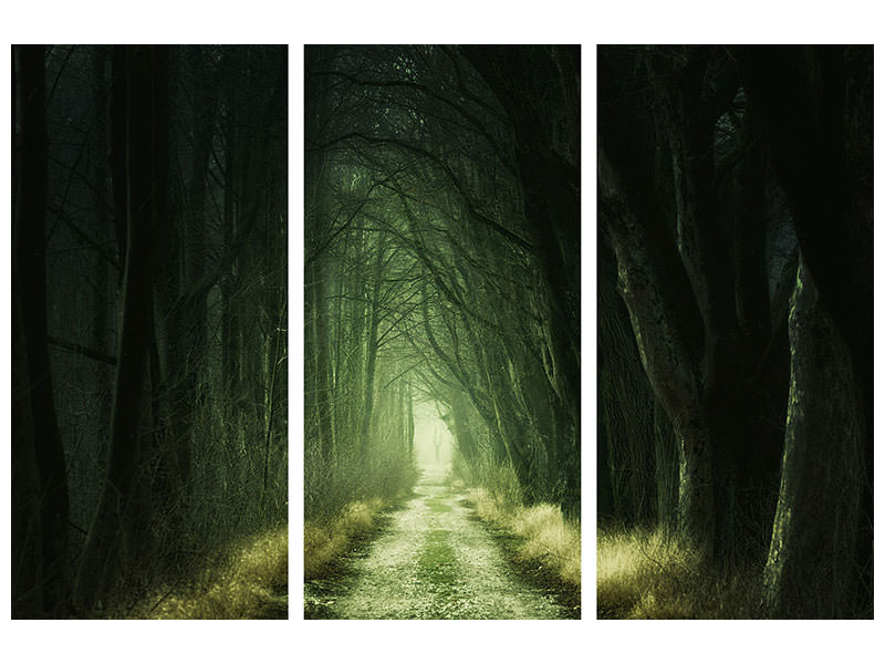 3-piece-canvas-print-mysterious-forest-iii