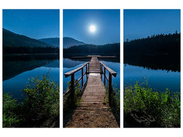 3-piece-canvas-print-one-night-at-full-moon