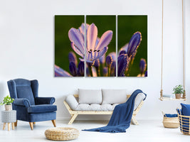 3-piece-canvas-print-ornamental-lilies-with-morning-dew
