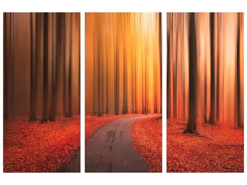 3-piece-canvas-print-path-to-unknown