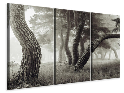 3-piece-canvas-print-pine-grove-in-fog