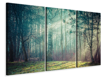 3-piece-canvas-print-pinewood