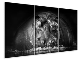 3-piece-canvas-print-power