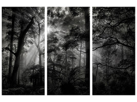 3-piece-canvas-print-primary-forest