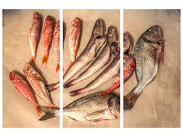 3-piece-canvas-print-raw-fish-ii