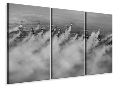 3-piece-canvas-print-running