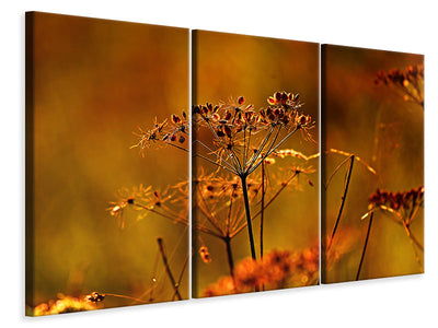 3-piece-canvas-print-seeds