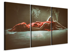 3-piece-canvas-print-sensual