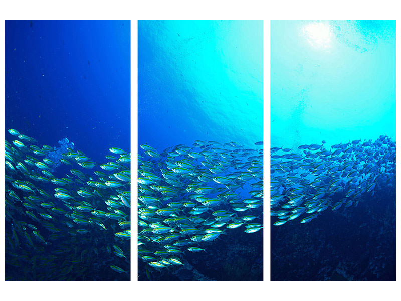 3-piece-canvas-print-shoal-of-fish