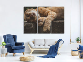 3-piece-canvas-print-sleeping-cat