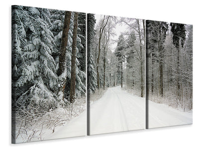 3-piece-canvas-print-snow-in-the-forest