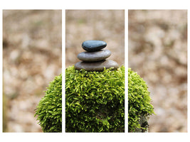 3-piece-canvas-print-stone-pile-on-plant