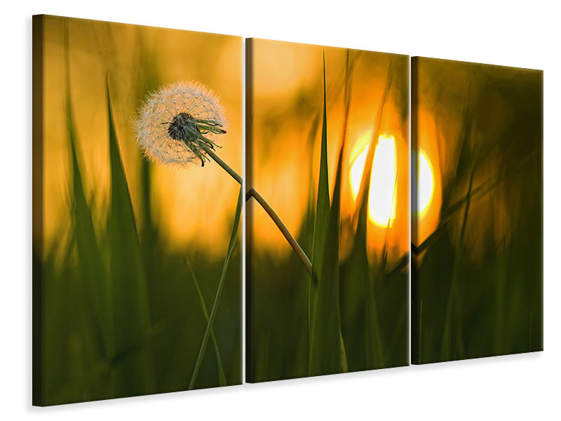 3-piece-canvas-print-sunbathing