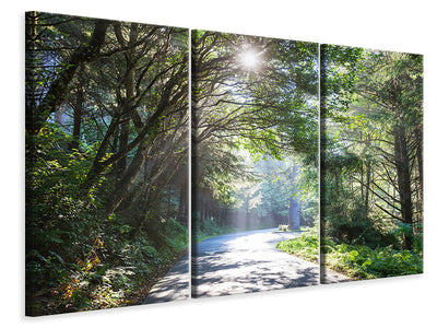 3-piece-canvas-print-sunny-forest-path