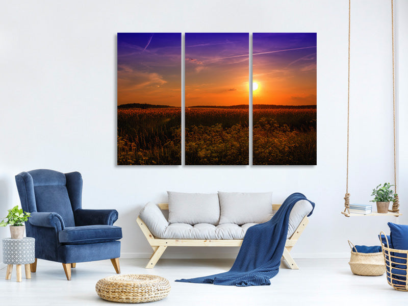 3-piece-canvas-print-sunset-at-the-flower-field