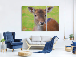 3-piece-canvas-print-sweet-deer
