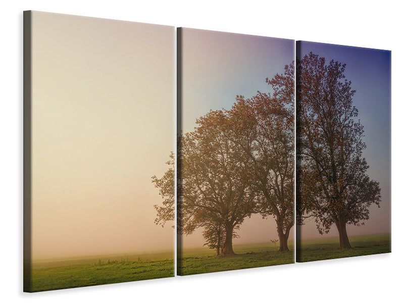 3-piece-canvas-print-the-crooked-tree