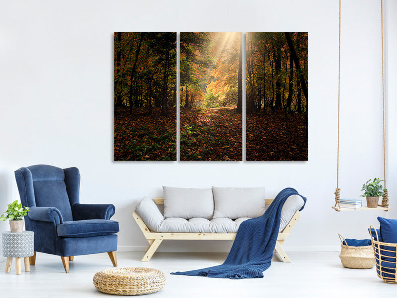 3-piece-canvas-print-the-deciduous-forest