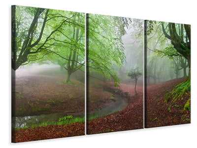 3-piece-canvas-print-the-forest-maravillador-iii