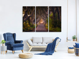 3-piece-canvas-print-the-glowing-hedges