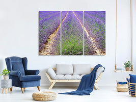 3-piece-canvas-print-the-lavender-field