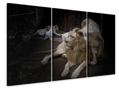 3-piece-canvas-print-the-lion-couple