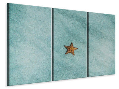 3-piece-canvas-print-the-little-starfish