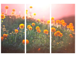 3-piece-canvas-print-the-mountain-meadow