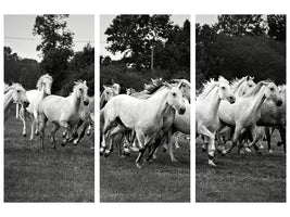 3-piece-canvas-print-the-mustang-herd