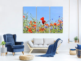 3-piece-canvas-print-the-poppy-in-the-flower-meadow