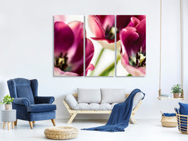 3-piece-canvas-print-tulip-iv