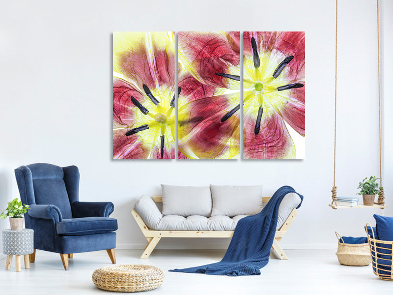 3-piece-canvas-print-tulips