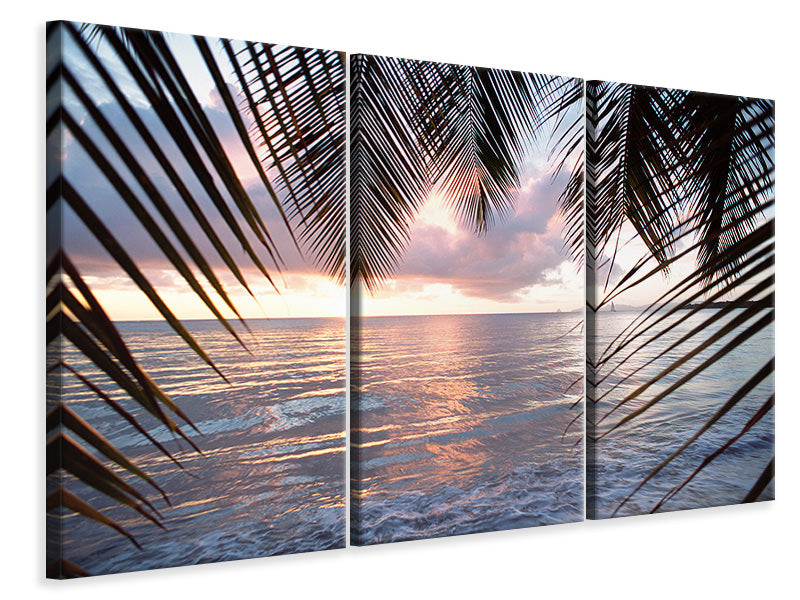 3-piece-canvas-print-under-palm-leaves