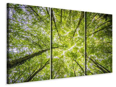 3-piece-canvas-print-under-the-treetops