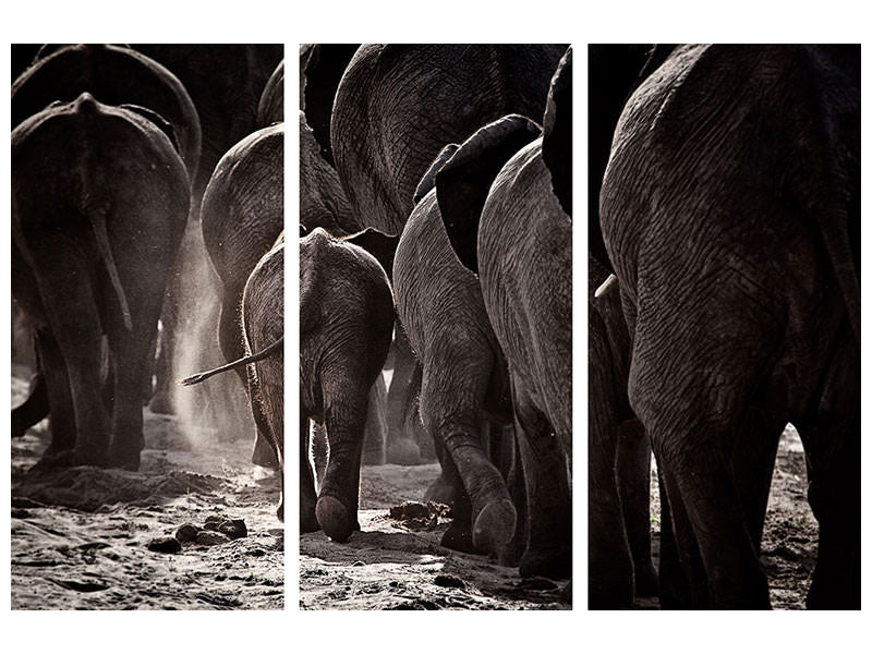 3-piece-canvas-print-walking-home