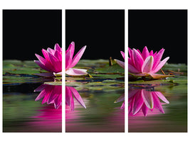 3-piece-canvas-print-water-lilies-duo-in-pink