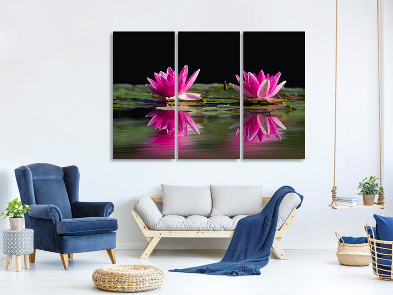 3-piece-canvas-print-water-lilies-duo-in-pink