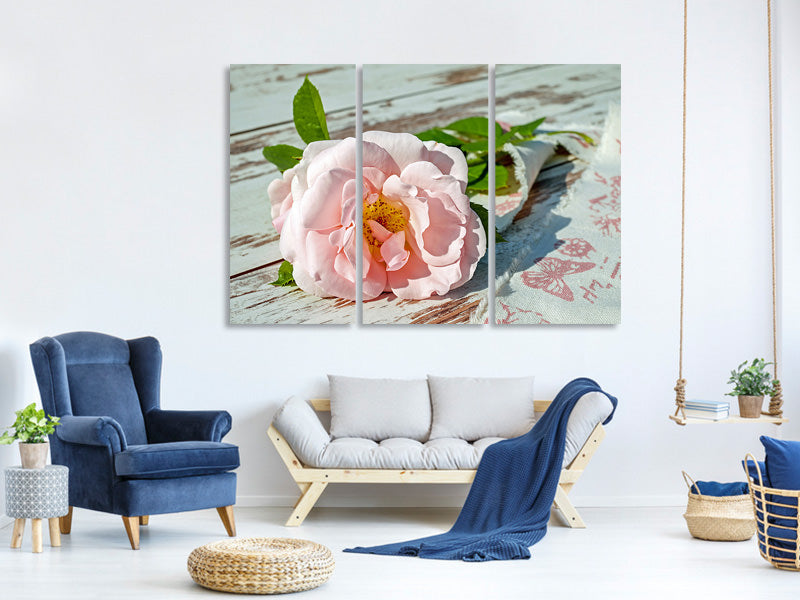 3-piece-canvas-print-wild-rose-in-pink