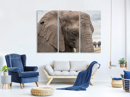 3-piece-canvas-print-xl-elephant