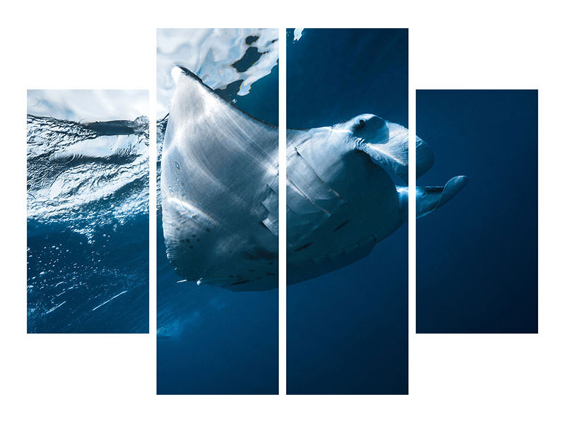 4-piece-canvas-print-flying-manta-ray