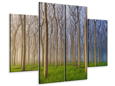 4-piece-canvas-print-morning-of-the-forest