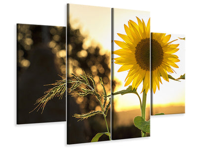 4-piece-canvas-print-sunflower-in-the-sunrise