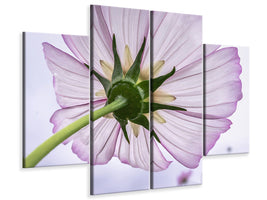 4-piece-canvas-print-the-cosmos-flower