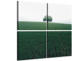 4-piece-canvas-print-the-lonely-oak-tree