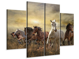 4-piece-canvas-print-wild-wild-horses