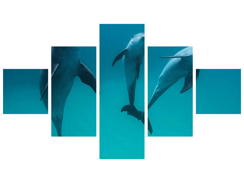 5-piece-canvas-print-bottlenose-dolphins-ii