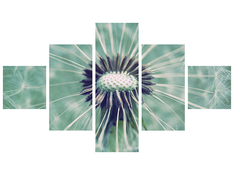 5-piece-canvas-print-close-up-dandelion