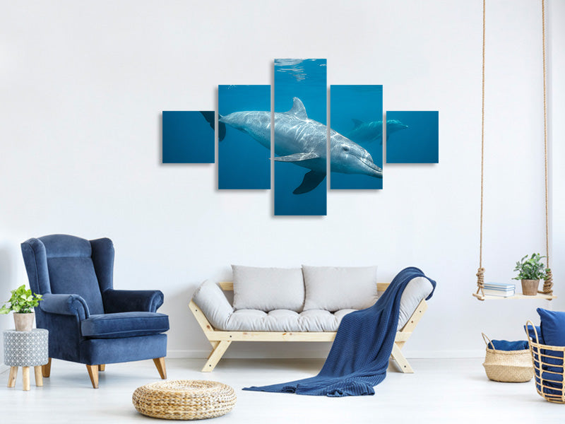 5-piece-canvas-print-curious-dolphin