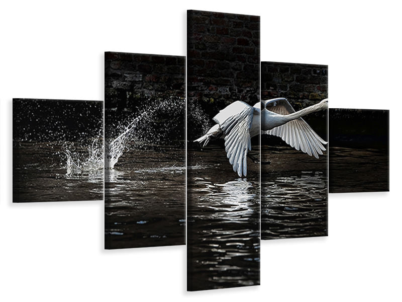 5-piece-canvas-print-flying-swan